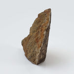   Shatter Cone Impactite | 19.6 grams | Rochechouart Impact Structure | Montoume, France 