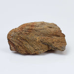   Shatter Cone Impactite | 19.6 grams | Rochechouart Impact Structure | Montoume, France 