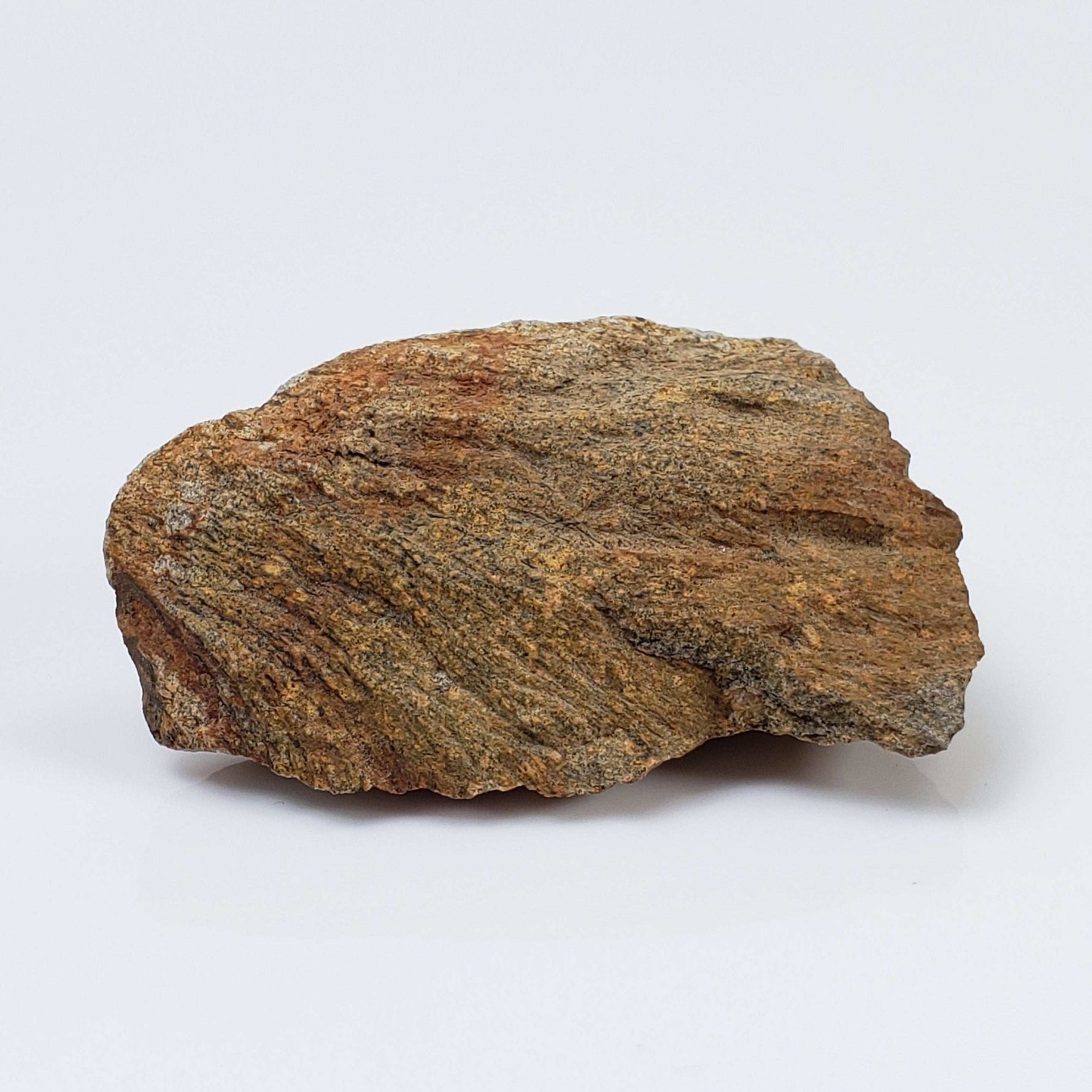   Shatter Cone Impactite | 19.6 grams | Rochechouart Impact Structure | Montoume, France 