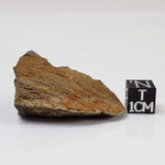   Shatter Cone Impactite | 19.6 grams | Rochechouart Impact Structure | Montoume, France 