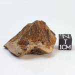   Shatter Cone Impactite | 24.79 grams | Rochechouart Impact Structure | France 