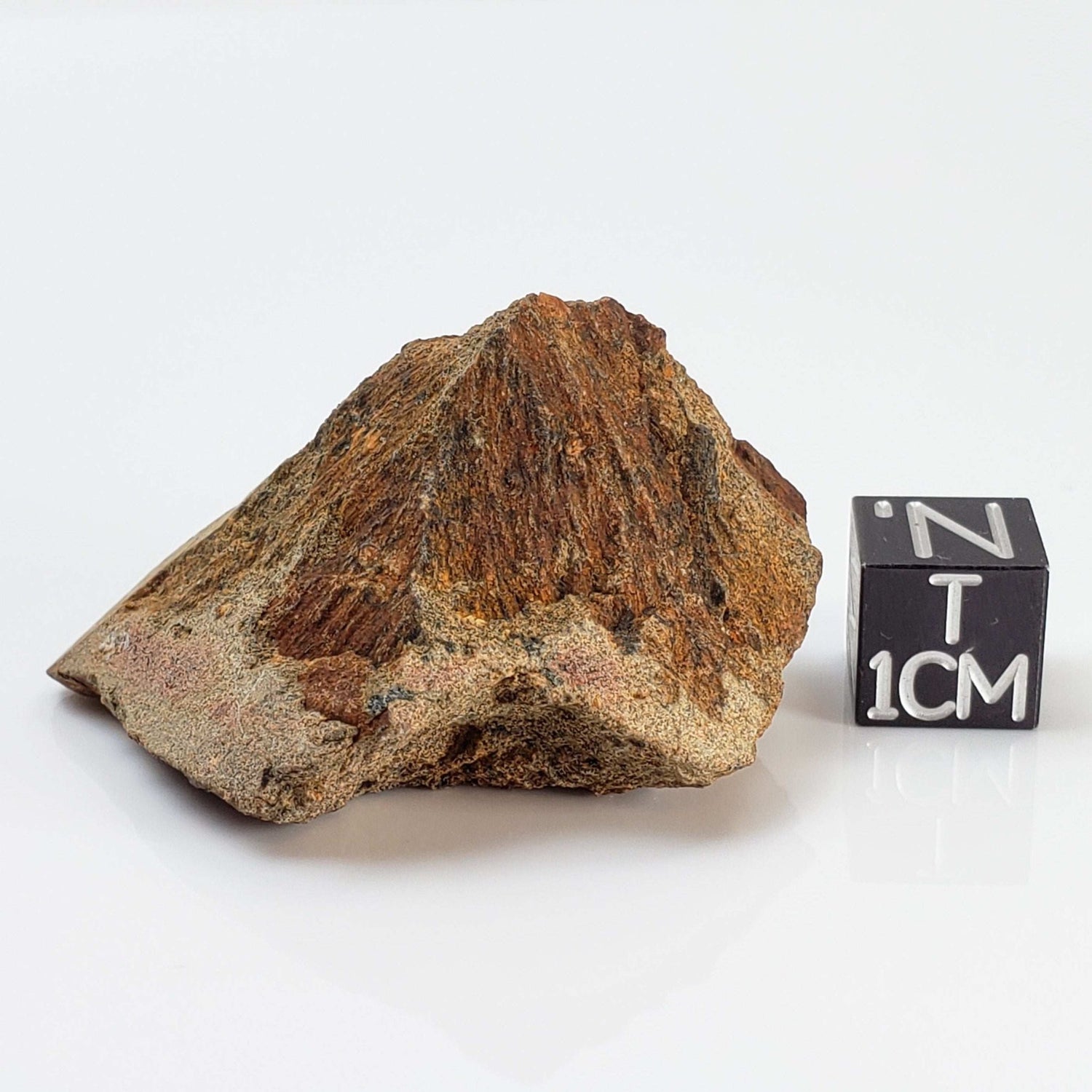   Shatter Cone Impactite | 24.79 grams | Rochechouart Impact Structure | France 