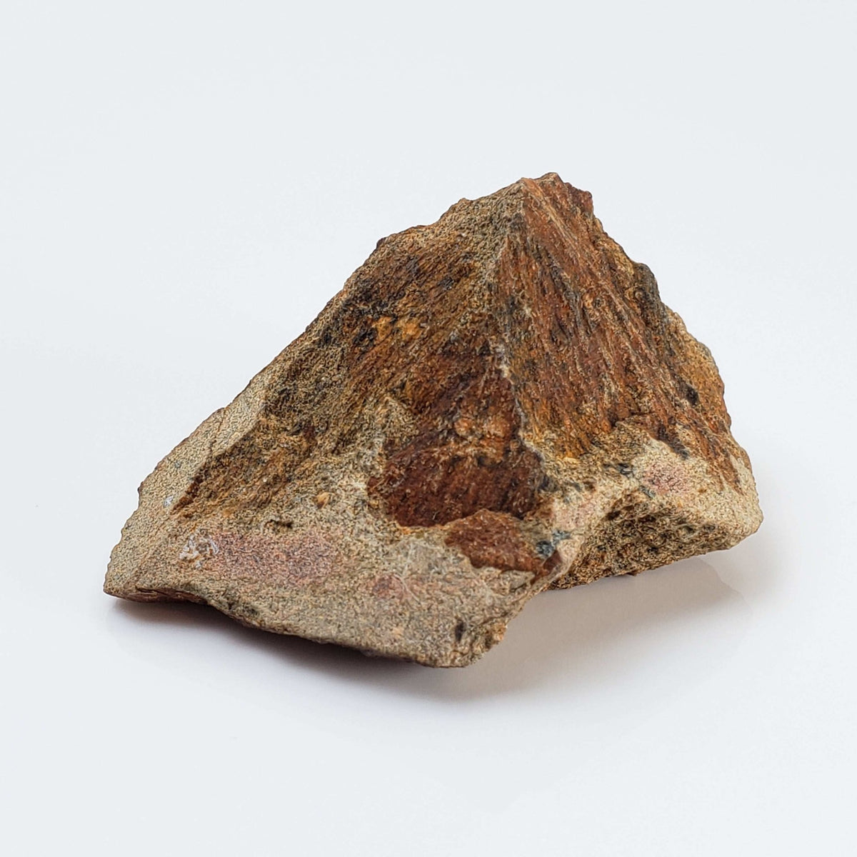   Shatter Cone Impactite | 24.79 grams | Rochechouart Impact Structure | France 