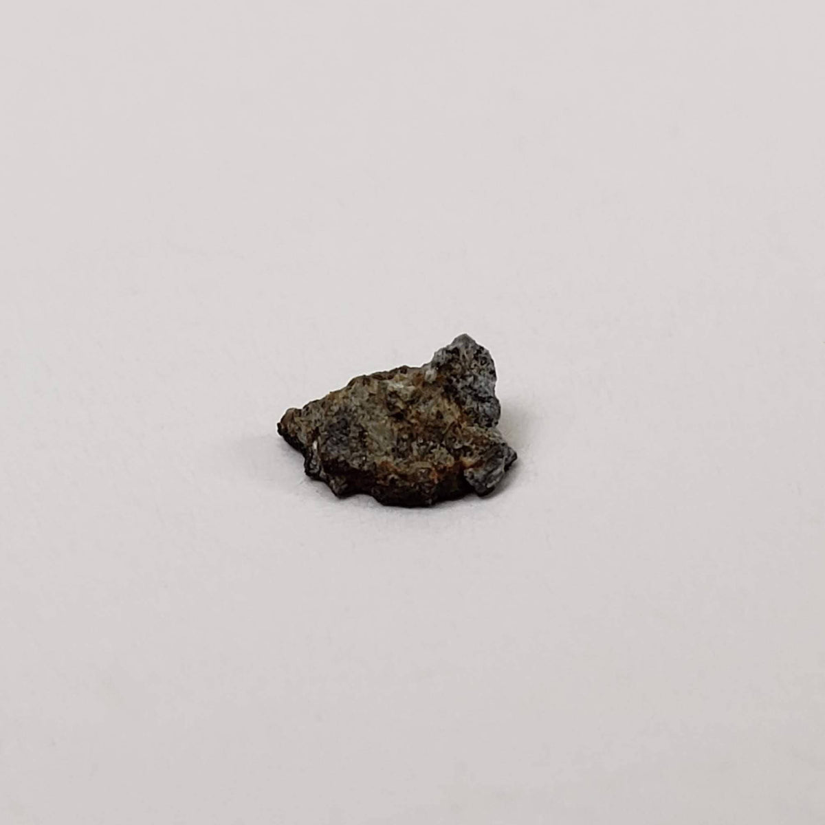 Shelburne Meteorite | 66 mg | Fragment | L5 Class | Observed Fall 1904 Canada