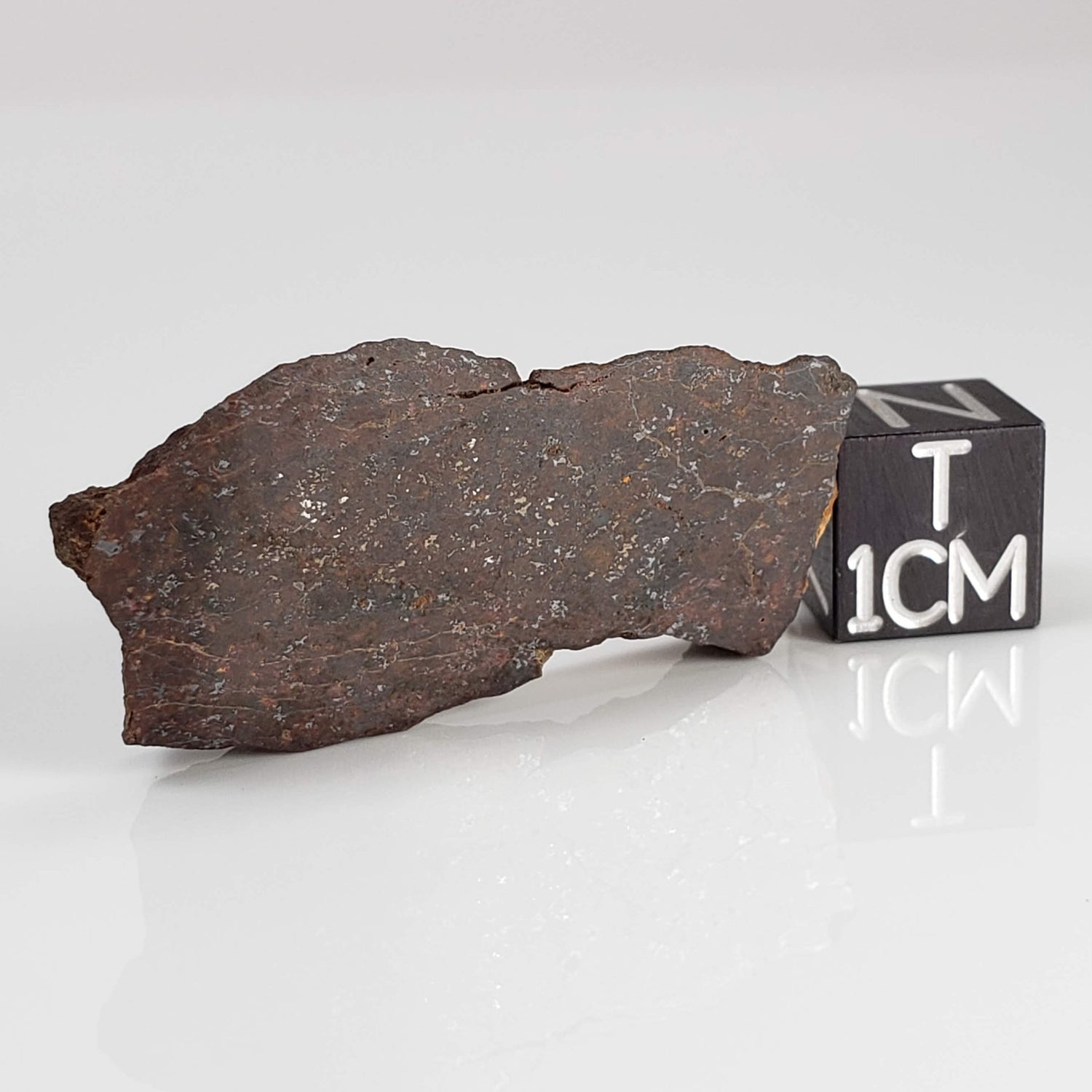 Shişr 010 Meteorite | 6.56 Grams | Slice | L5 Chondrite | Rare | Shişr Desert, Oman 1