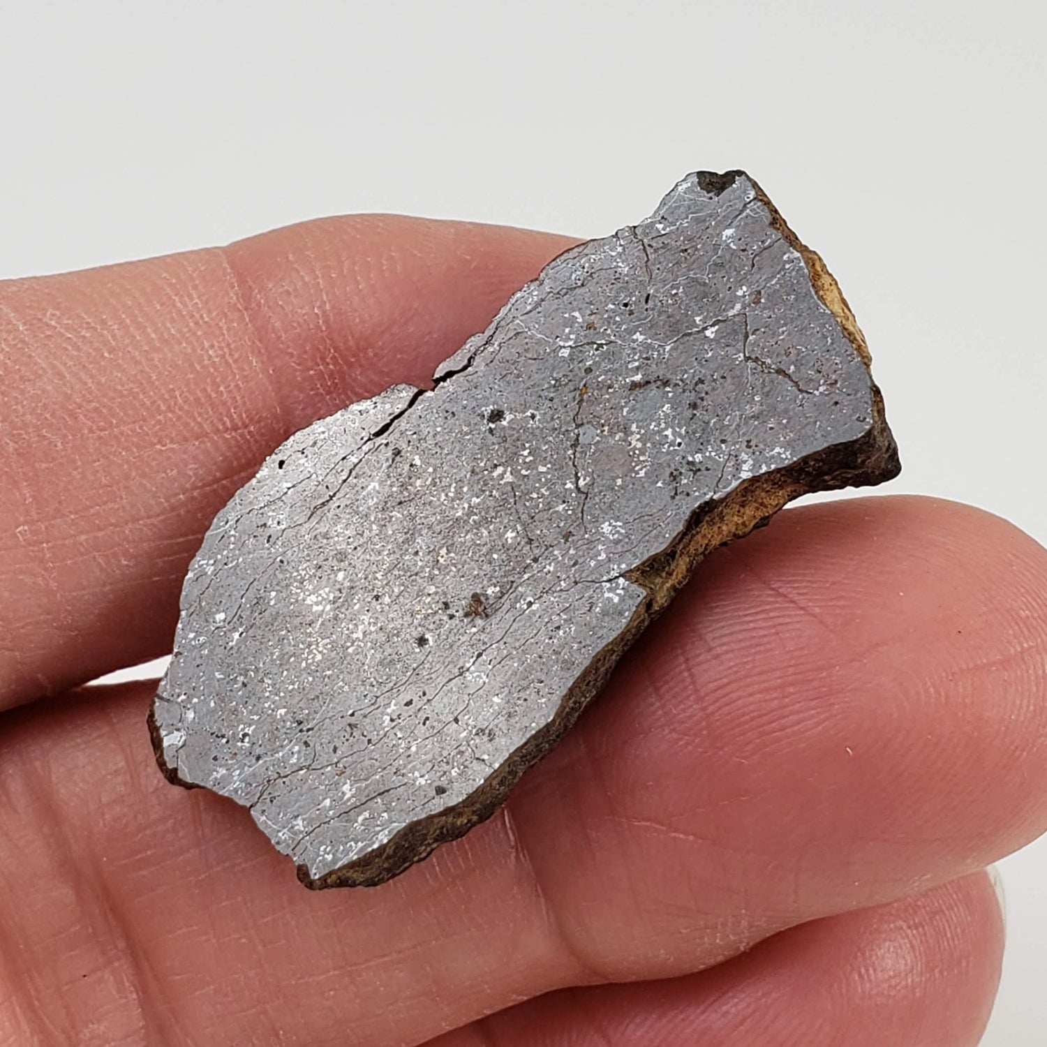 Shişr 010 Meteorite | 6.56 Grams | Slice | L5 Chondrite | Rare | Shişr Desert, Oman 2