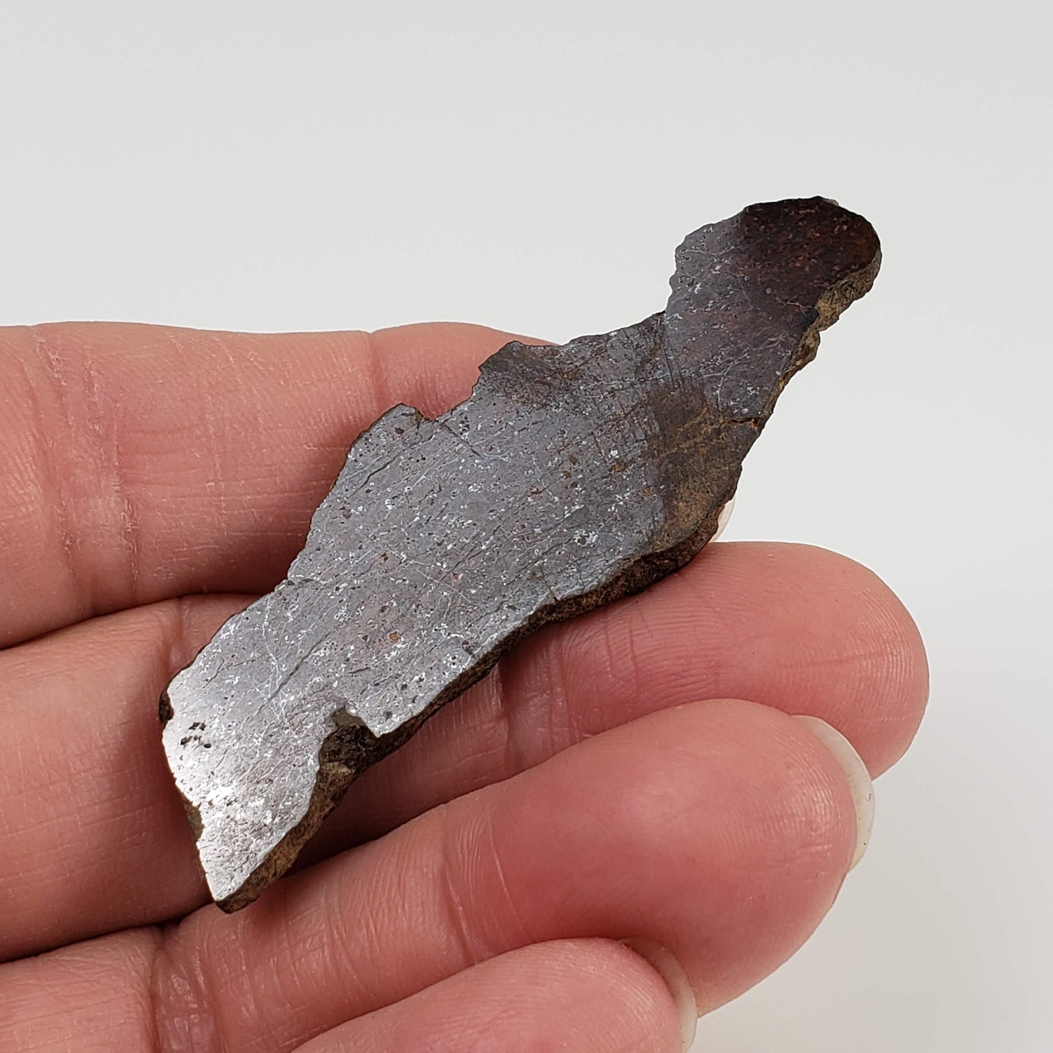 Shişr 010 Meteorite | 8.77 Grams | Slice | L5 Chondrite | Rare | Shişr Desert, Oman 2