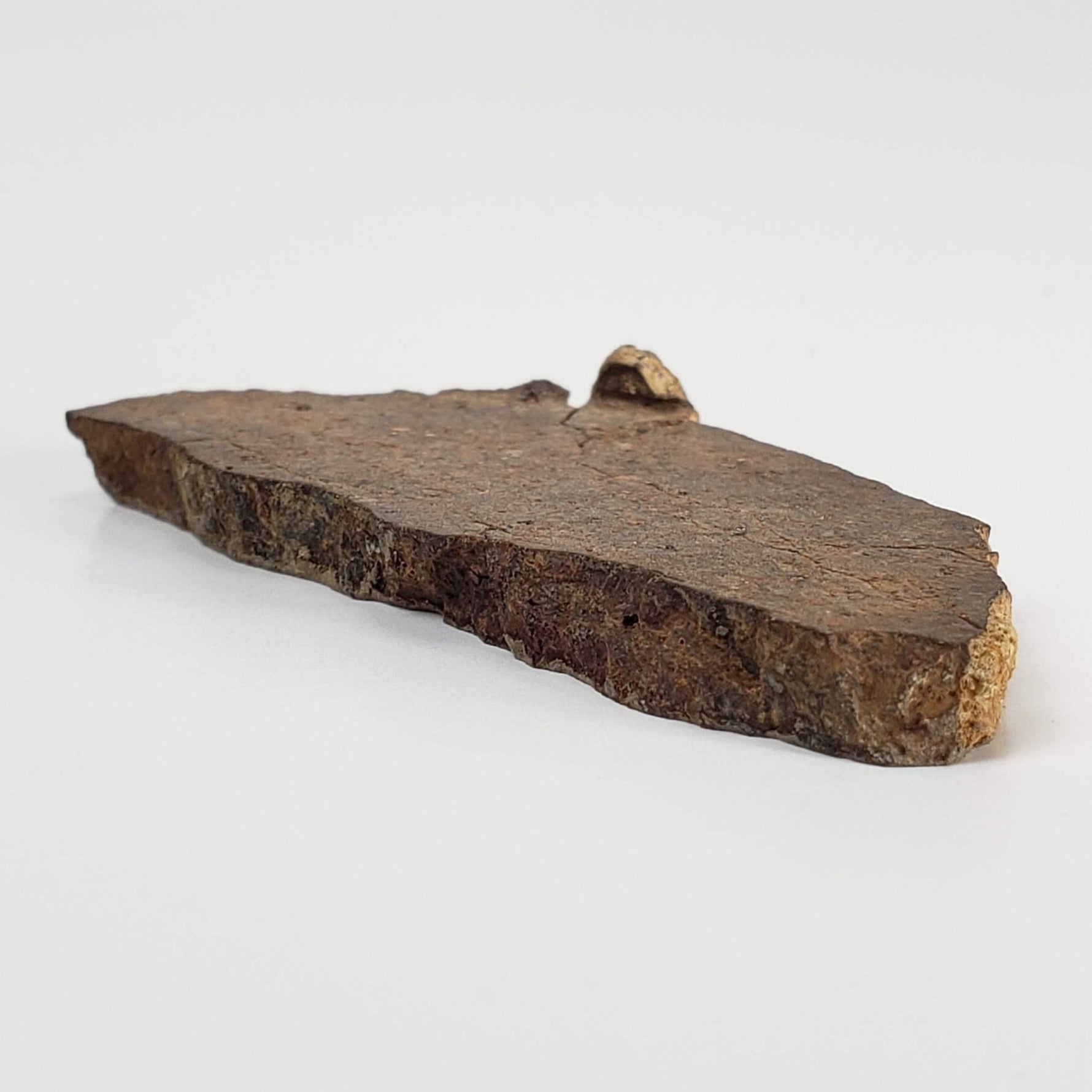 Shisr Shi 010 Meteorite | 11.3 Grams | Slice | L5 Chondrite | Rare | Shisr Desert, Oman