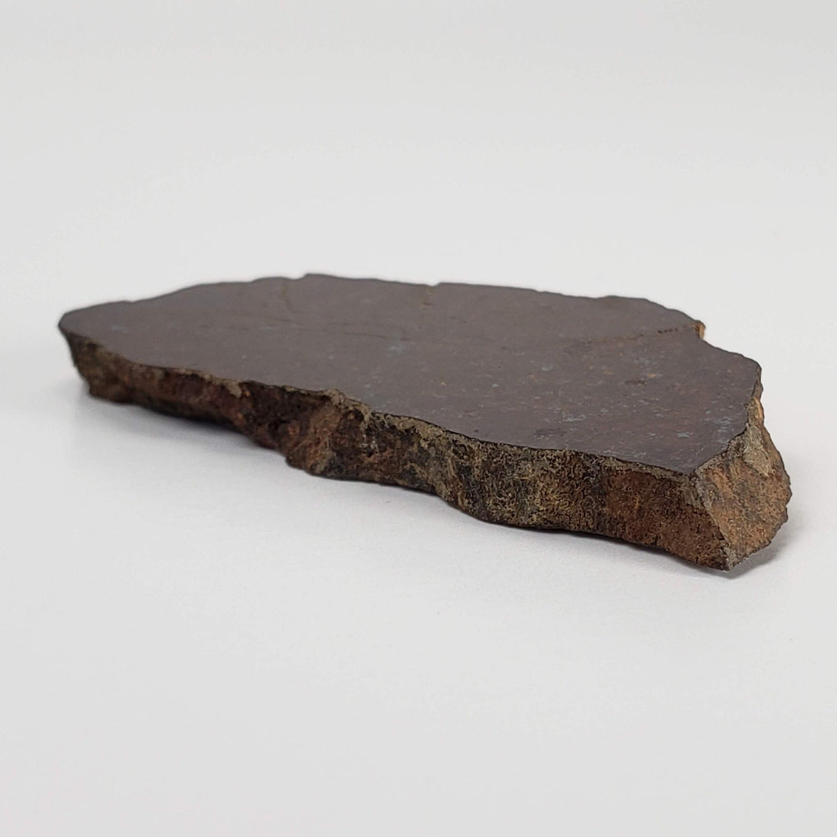 Shisr Shi 010 Meteorite | 11.3 Grams | Slice | L5 Chondrite | Rare | Shisr Desert, Oman