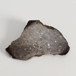 Shisr Shi 010 Meteorite | 7.2 Grams | End Cut | L5 Chondrite | Rare | Shisr Desert, Oman