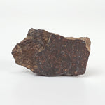 Shisr Shi 010 Meteorite | 8.56 Grams | Slice | L5 Chondrite | Rare | Shisr Desert, Oman