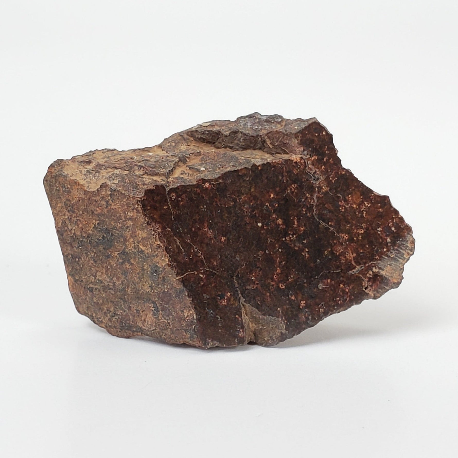 Shisr Shi 010 Meteorite | 8.56 Grams | Slice | L5 Chondrite | Rare | Shisr Desert, Oman