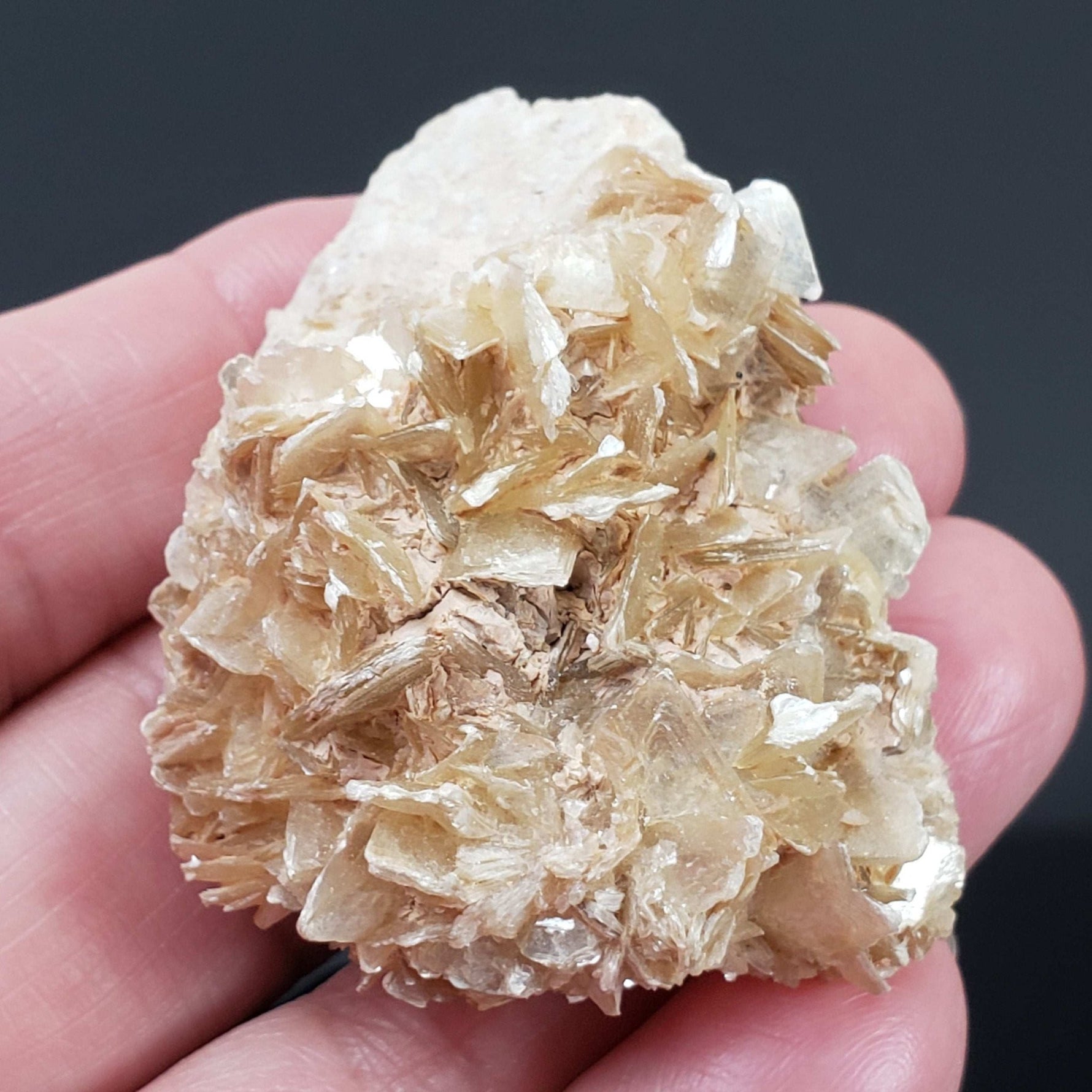   Star Mica Metamorphic Rock | 51.3g | Muscovite | Brazil 