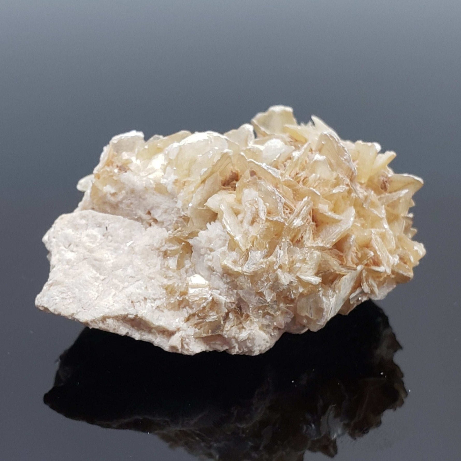   Star Mica Metamorphic Rock | 51.3g | Muscovite | Brazil 