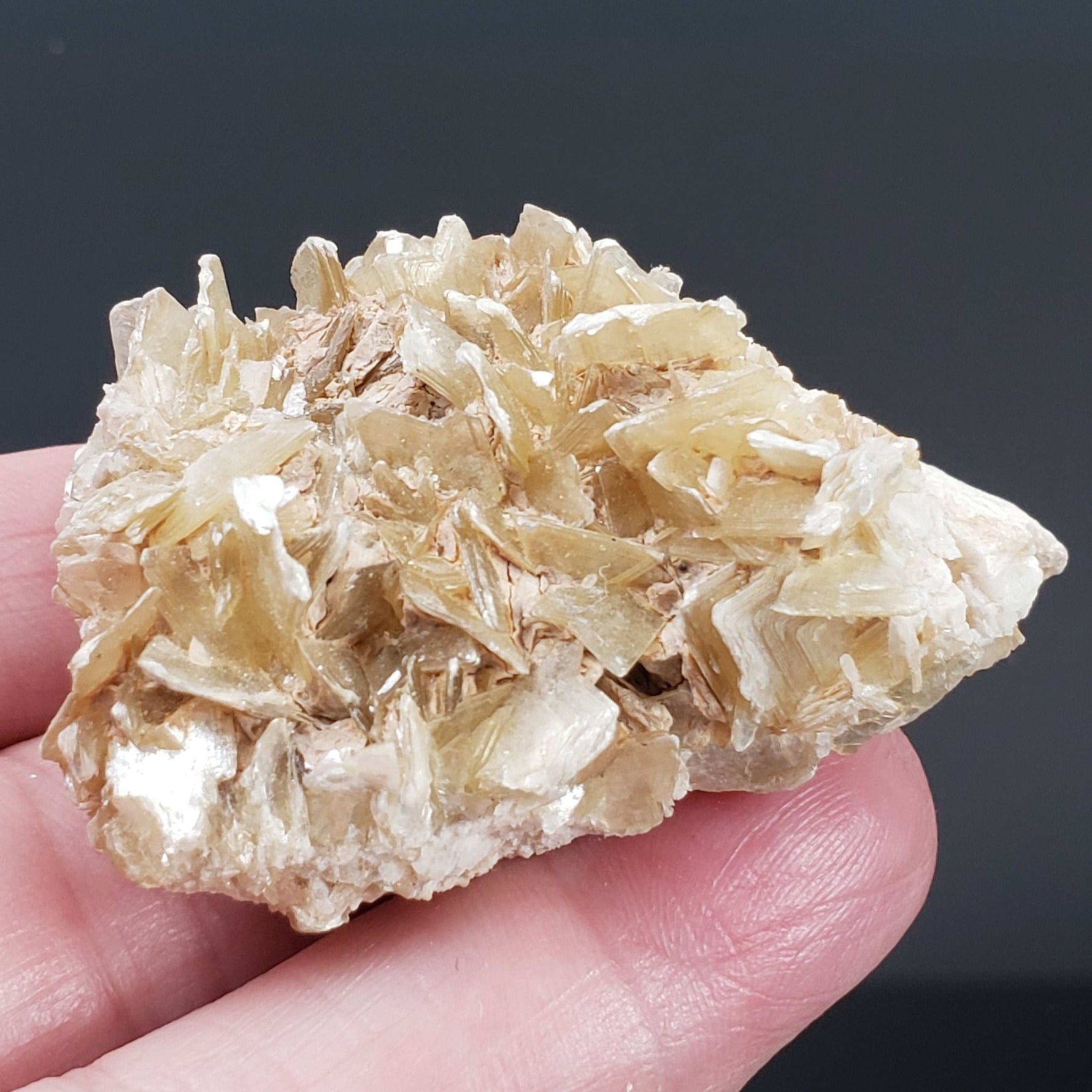   Star Mica Metamorphic Rock | 51.3g | Muscovite | Brazil 