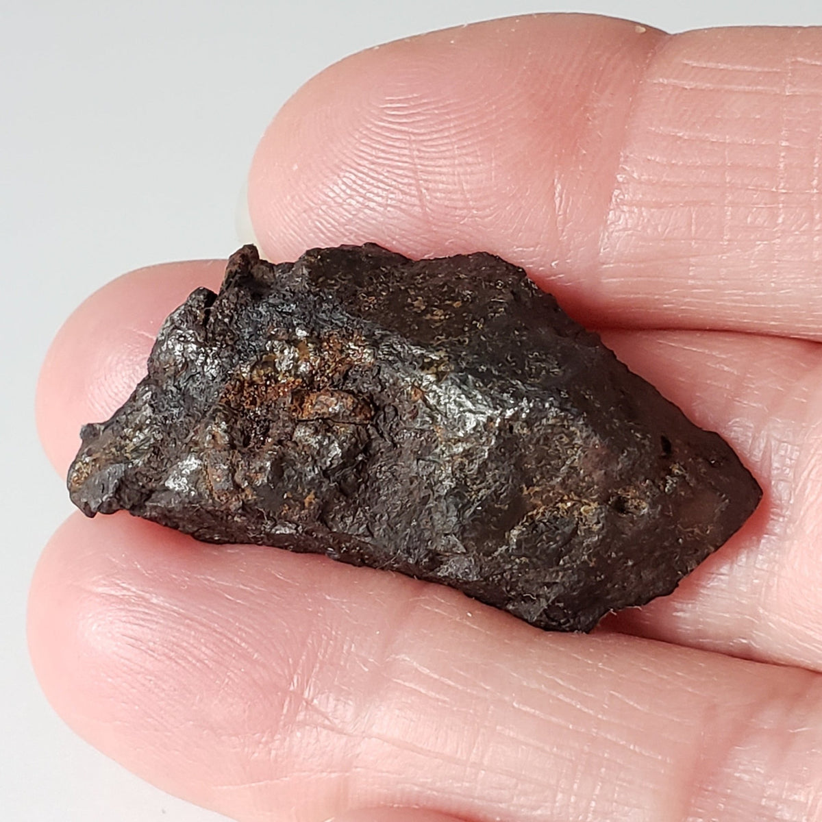 Toluca Meteorite | 17.96 grams | Etched End Cut | Iron IAB-sLL | Xiquipilco, Mexico