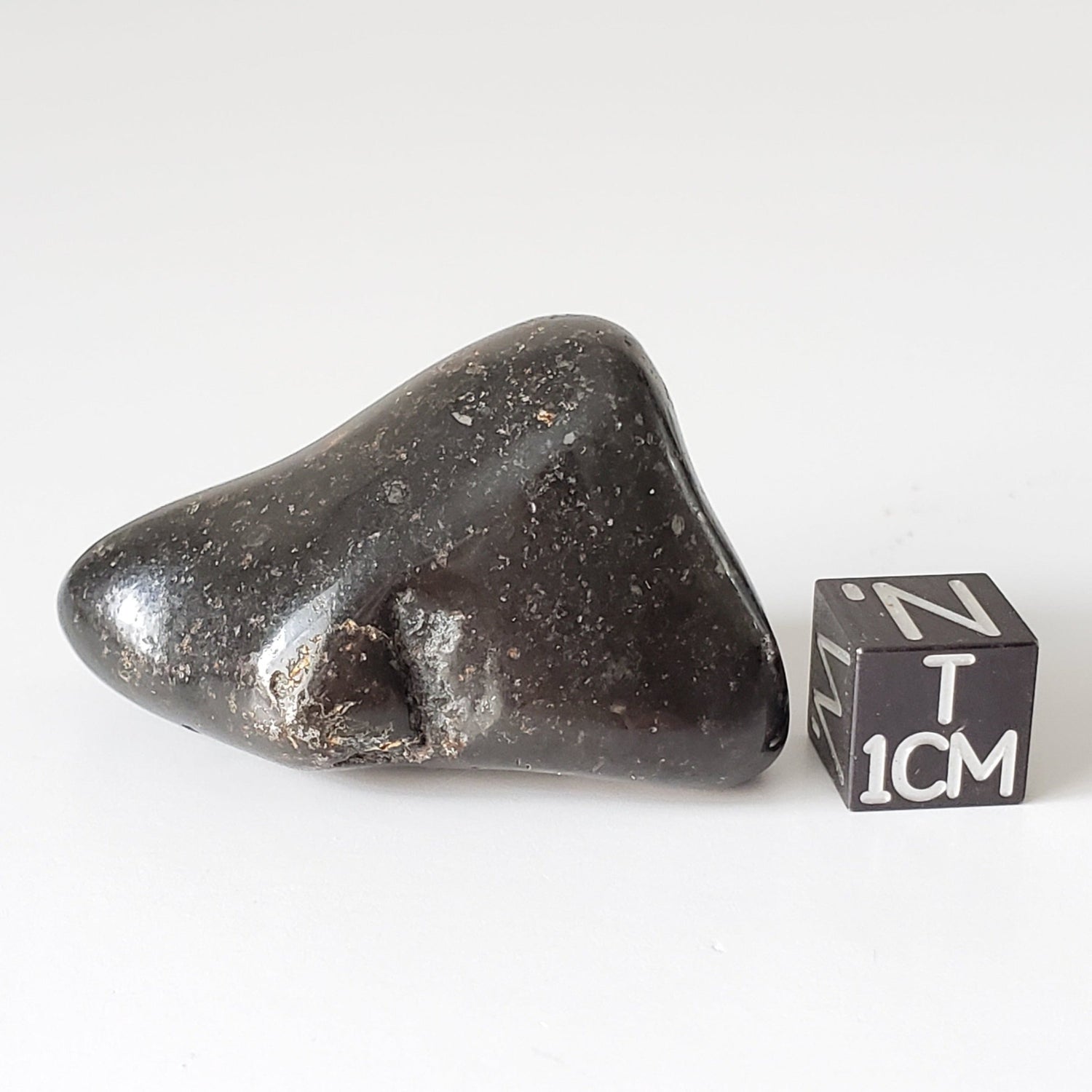   Tsarev Meteorite | 38.5 Grams | Tumbled Individual | L5 Chondrite | Fell Dec 1922 | Russia 