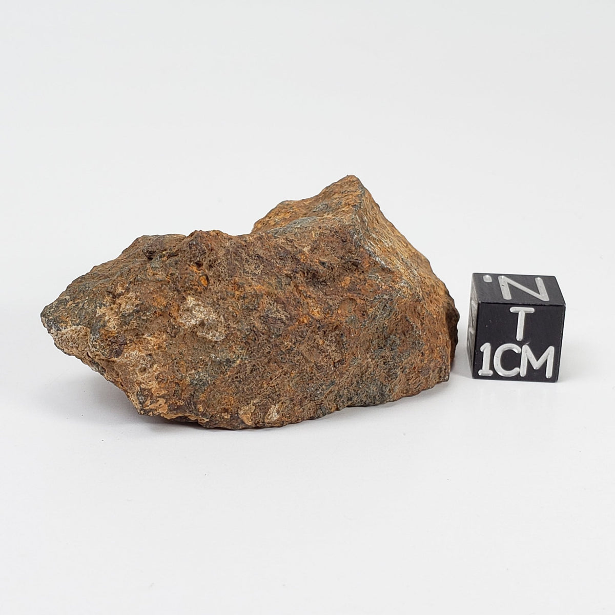   Tsarev Meteorite | 45.7 Grams | Individual | L5 Chondrite | Fell Dec 1922 | Volgograd Region, Russia 