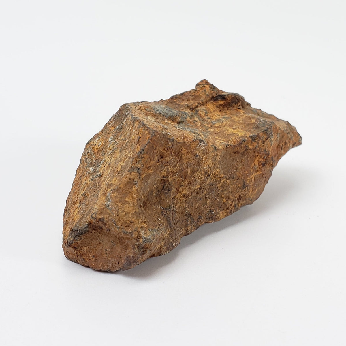   Tsarev Meteorite | 45.7 Grams | Individual | L5 Chondrite | Fell Dec 1922 | Volgograd Region, Russia 