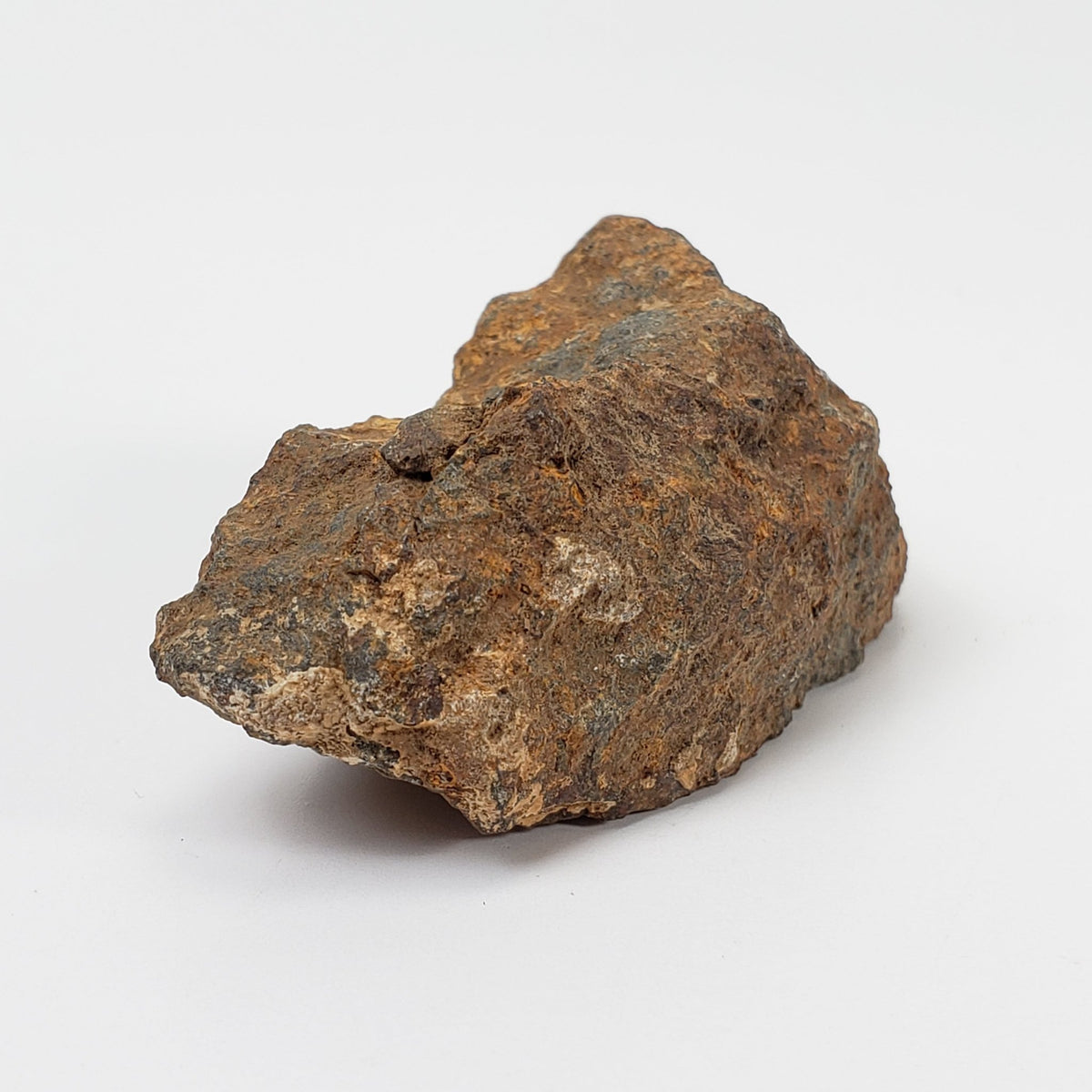   Tsarev Meteorite | 45.7 Grams | Individual | L5 Chondrite | Fell Dec 1922 | Volgograd Region, Russia 