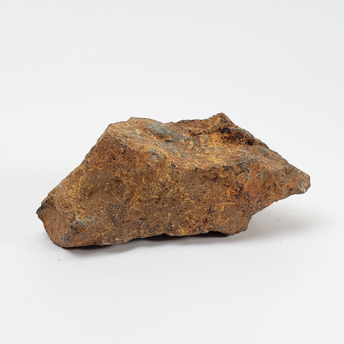   Tsarev Meteorite | 45.7 Grams | Individual | L5 Chondrite | Fell Dec 1922 | Volgograd Region, Russia 