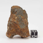 Tsarev Meteorite | 56.2 Grams | Individual | L5 Chondrite | Fell Dec 1922 | Volgograd Region, Russia