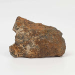 Tsarev Meteorite | 56.2 Grams | Individual | L5 Chondrite | Fell Dec 1922 | Volgograd Region, Russia