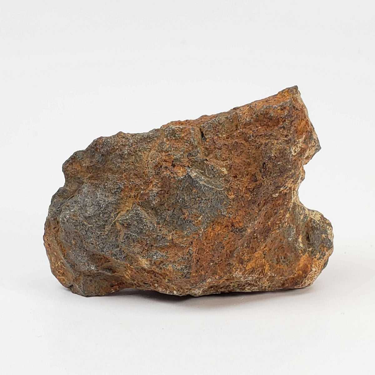 Tsarev Meteorite | 56.2 Grams | Individual | L5 Chondrite | Fell Dec 1922 | Volgograd Region, Russia