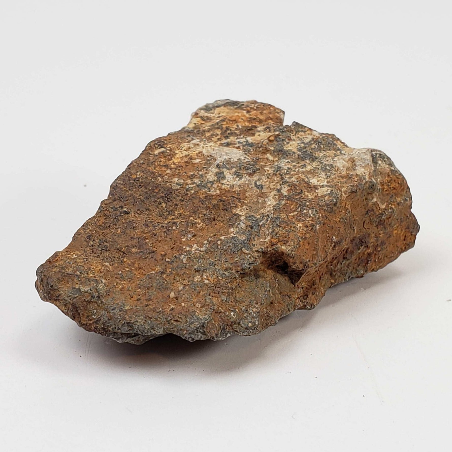 Tsarev Meteorite | 56.2 Grams | Individual | L5 Chondrite | Fell Dec 1922 | Volgograd Region, Russia