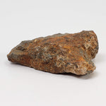 Tsarev Meteorite | 56.2 Grams | Individual | L5 Chondrite | Fell Dec 1922 | Volgograd Region, Russia 4