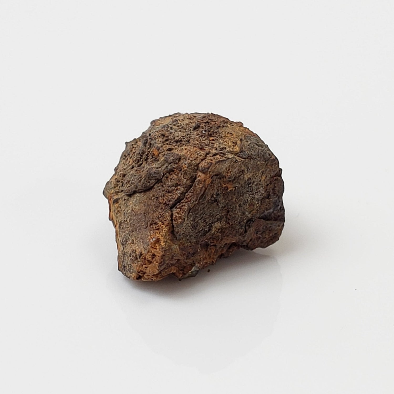   Vaca Muerta Meteorite | 2.73 Grams | Individual | Mesosiderite A1 | Chile 