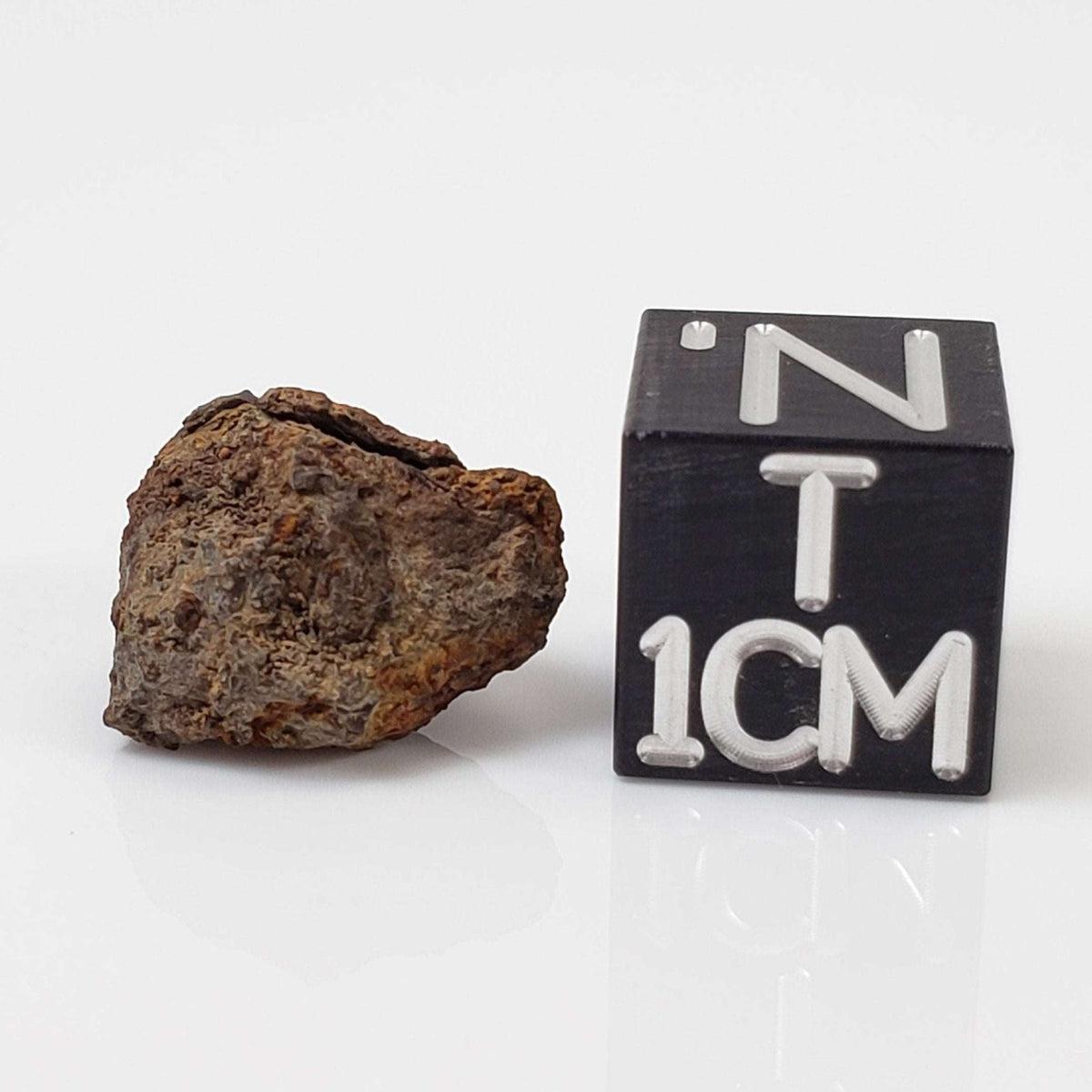   Vaca Muerta Meteorite | 2.73 Grams | Individual | Mesosiderite A1 | Chile 