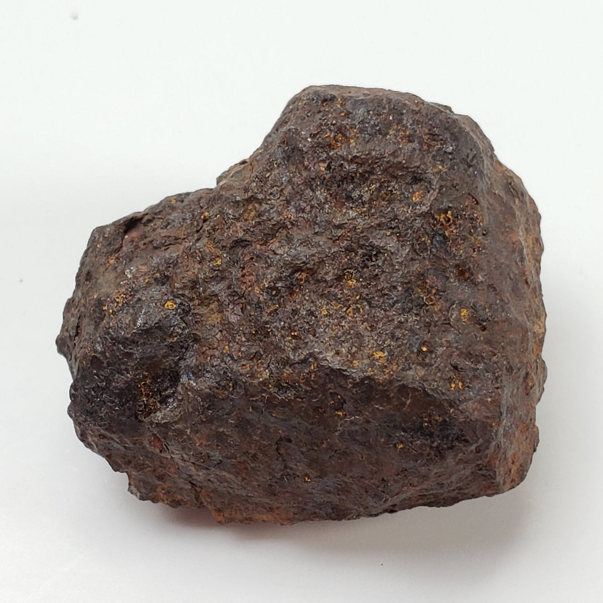 Vaca Muerta Meteorite | 40.52 Grams | Individual | Mesosiderite A1 | Chile 3