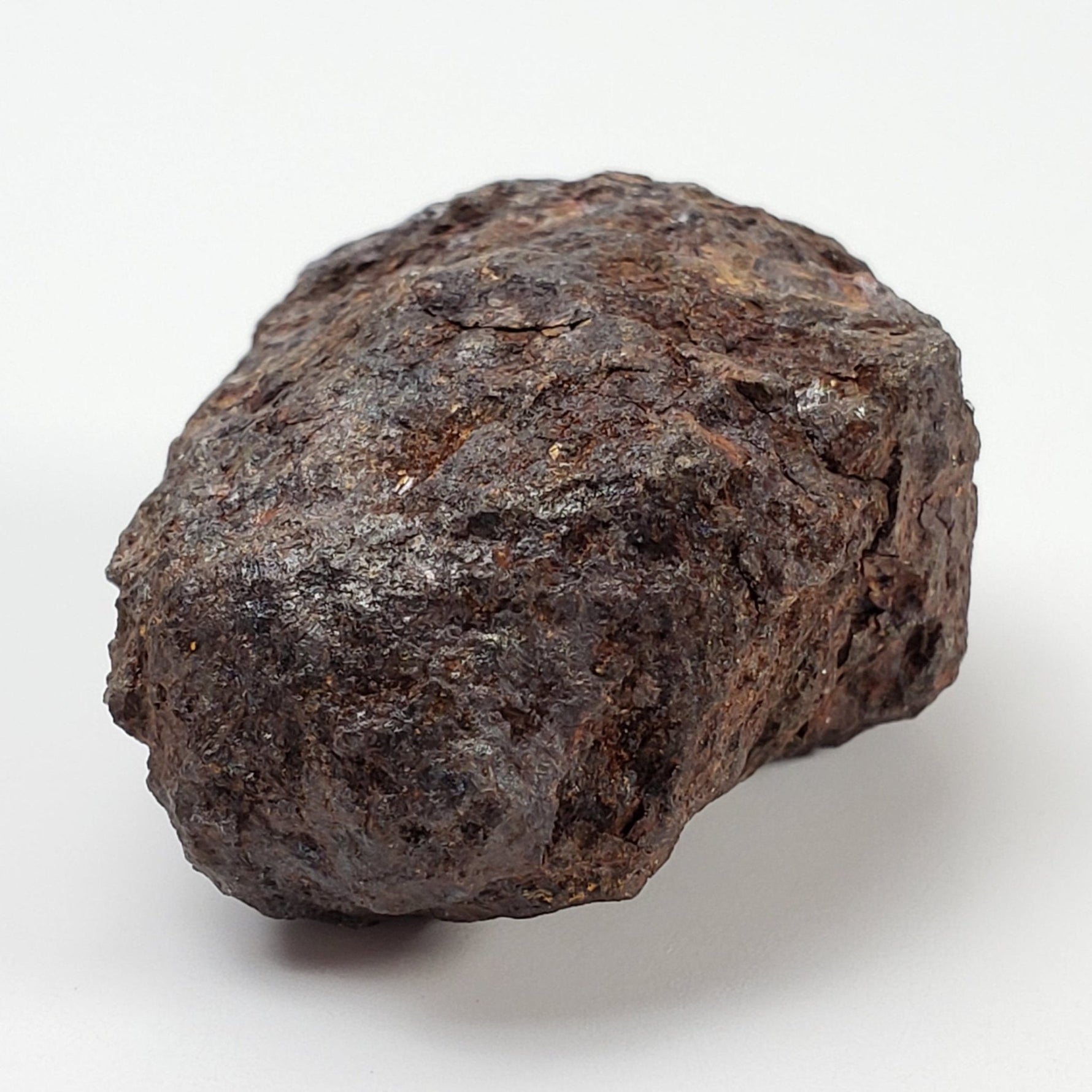 Vaca Muerta Meteorite | 40.52 Grams | Individual | Mesosiderite A1 | Chile 4