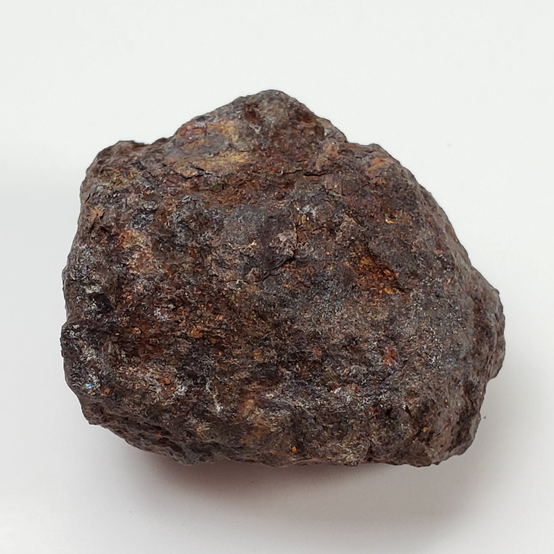 Vaca Muerta Meteorite | 40.52 Grams | Individual | Mesosiderite A1 | Chile 8