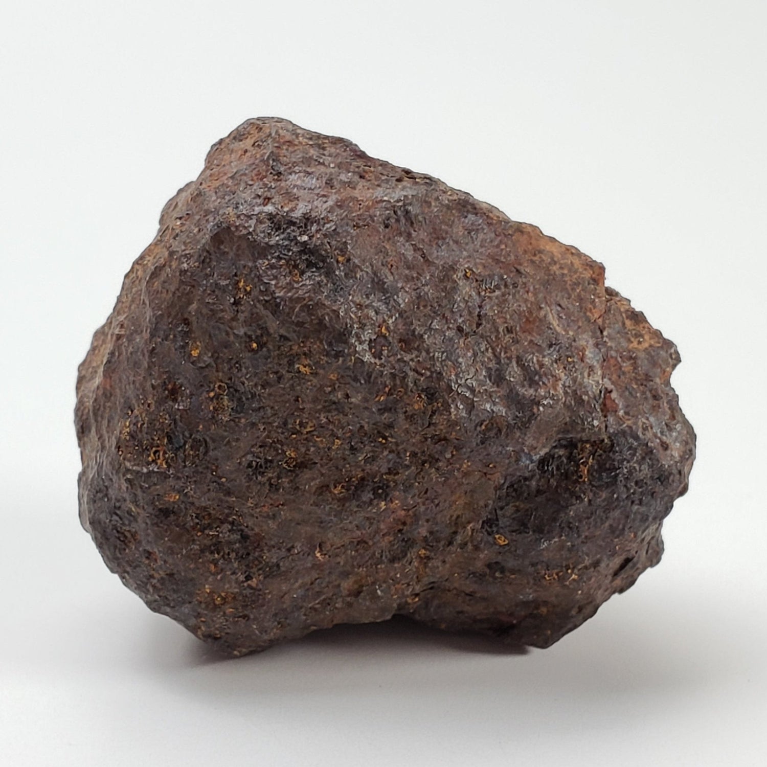 Vaca Muerta Meteorite | 40.52 Grams | Individual | Mesosiderite A1 | Chile 2