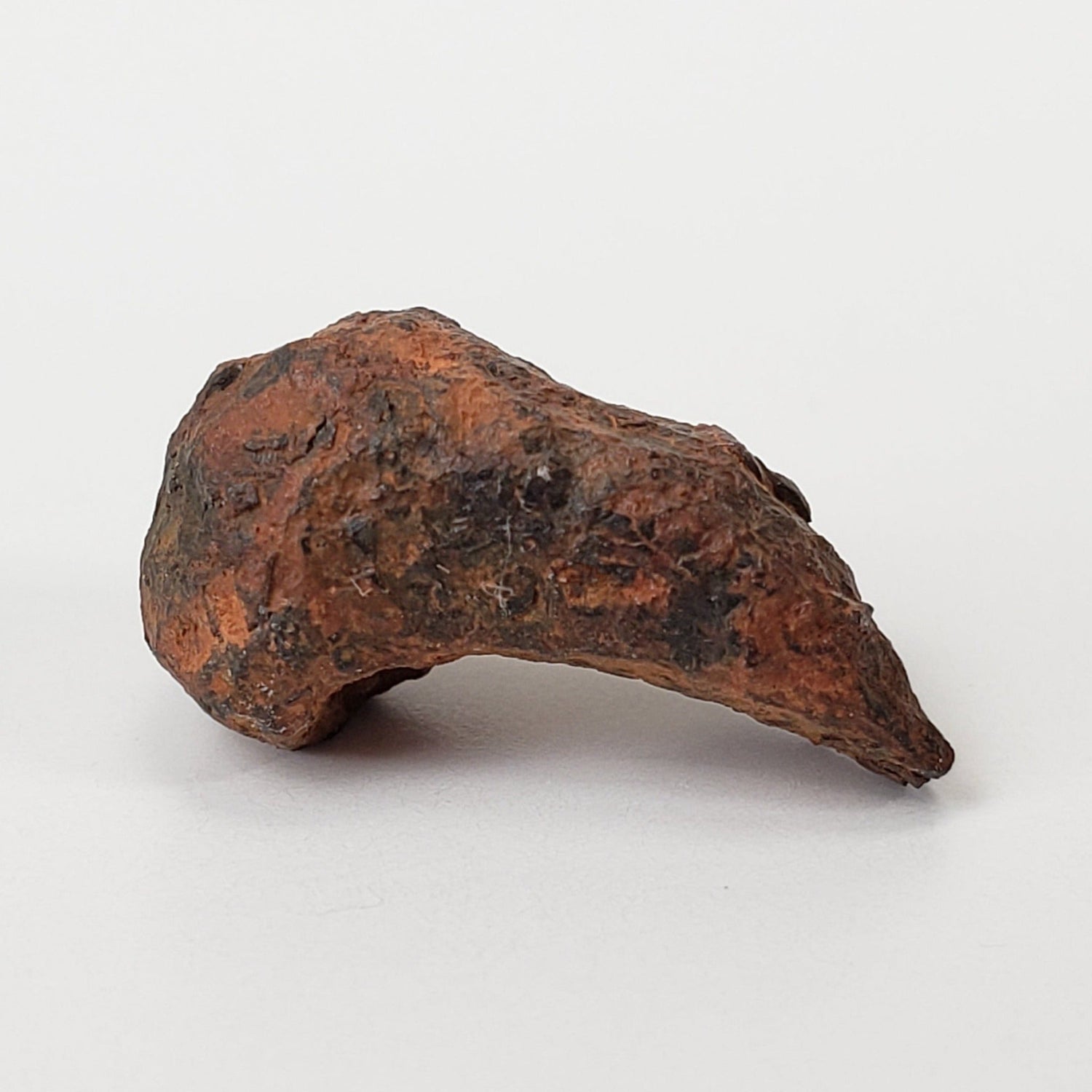 Veevers Meteorite | Rare Large 2.67 Gr | Individual | Iron IIB | Australia