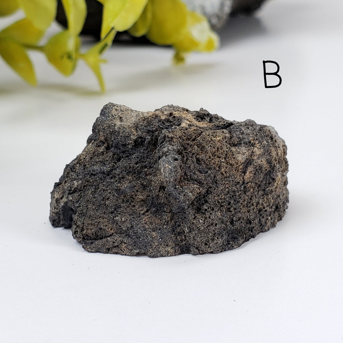 Volcanic Bomb | Lava Coated Crystal | 34-60 gr | Mortlake, Victoria, Australia