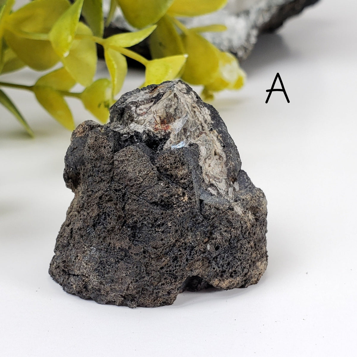 Volcanic Bomb | Lava Coated Crystal | 34-60 gr | Mortlake, Victoria, Australia