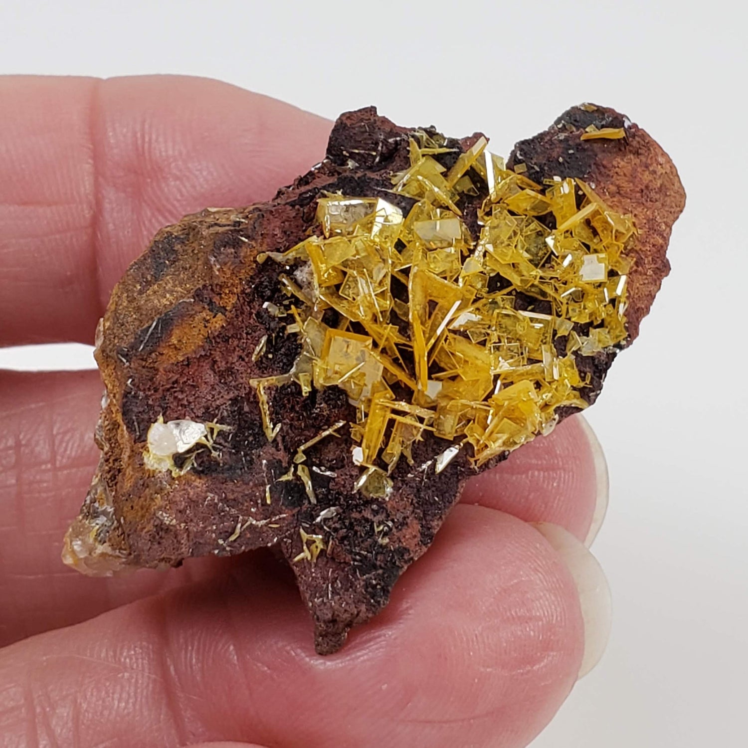 Wulfenite Crystal Cluster | 12.26 Grams | Total Wreck Mine | Arizona USA 1