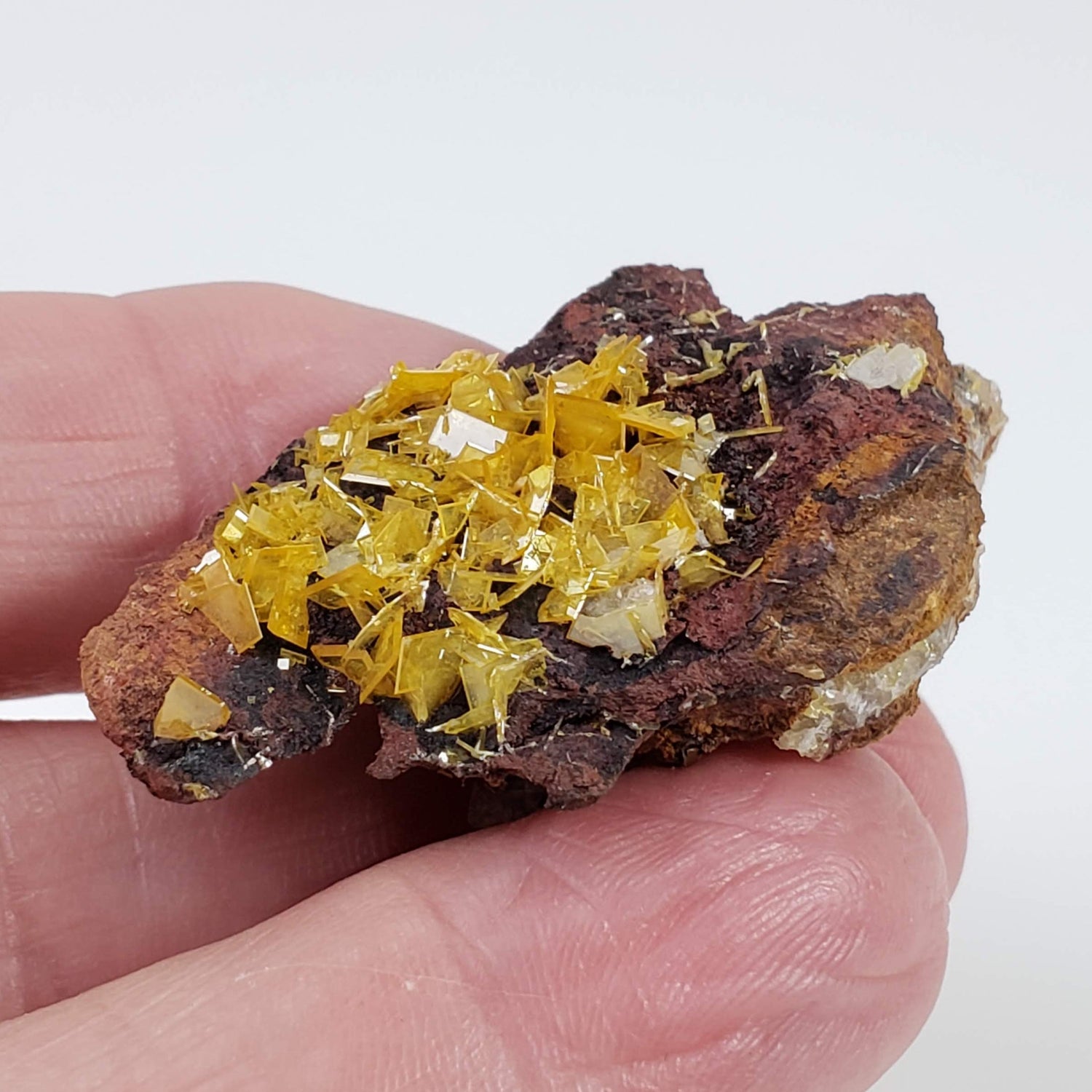 Wulfenite Crystal Cluster | 12.26 Grams | Total Wreck Mine | Arizona USA 2