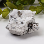 Zircon on Analcime Crystal | 76.7 grams | Mont Saint-Hilaire, Quebec