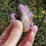 Multi Point Amethyst Cactus 157.9 gr Deep Purple Spirit Quartz Crystal Cluster, South Africa