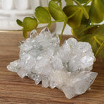  Apophyllite and Prehnite Cluster Bombay, India  