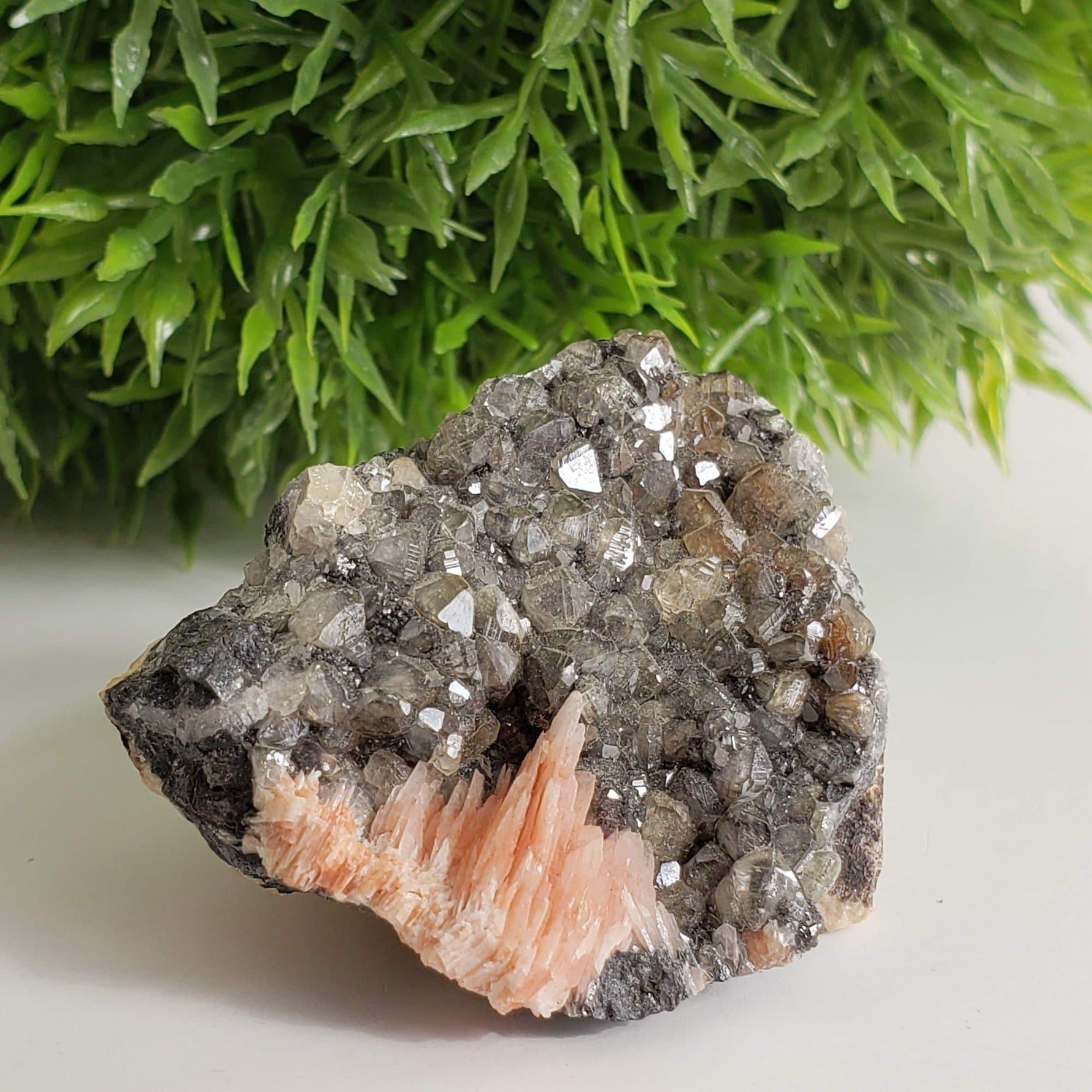  Cerussite Crystals and Pink Barite Blades on Galena Matrix Mineral, Morocco 