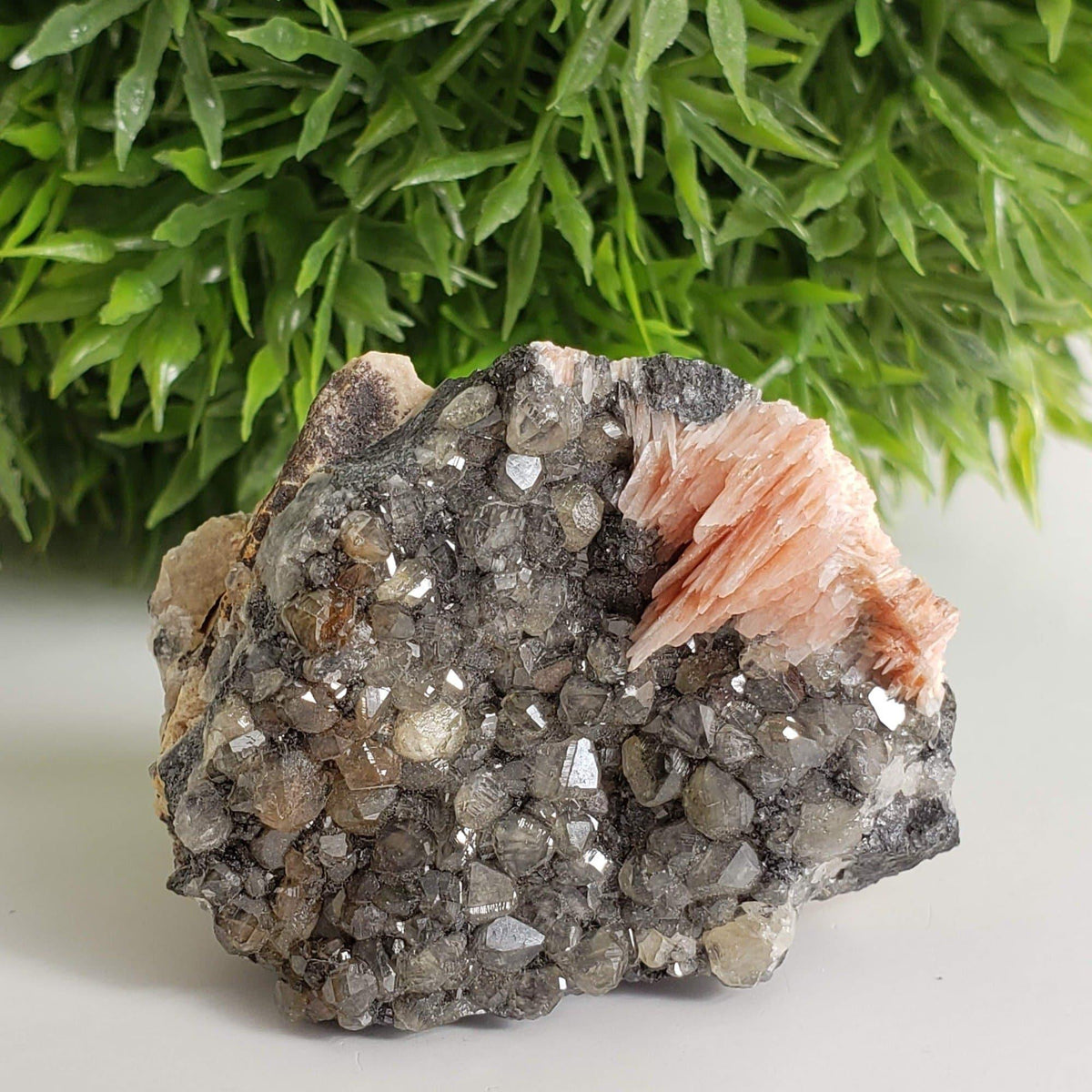  Cerussite Crystals and Pink Barite Blades on Galena Matrix Mineral, Morocco 