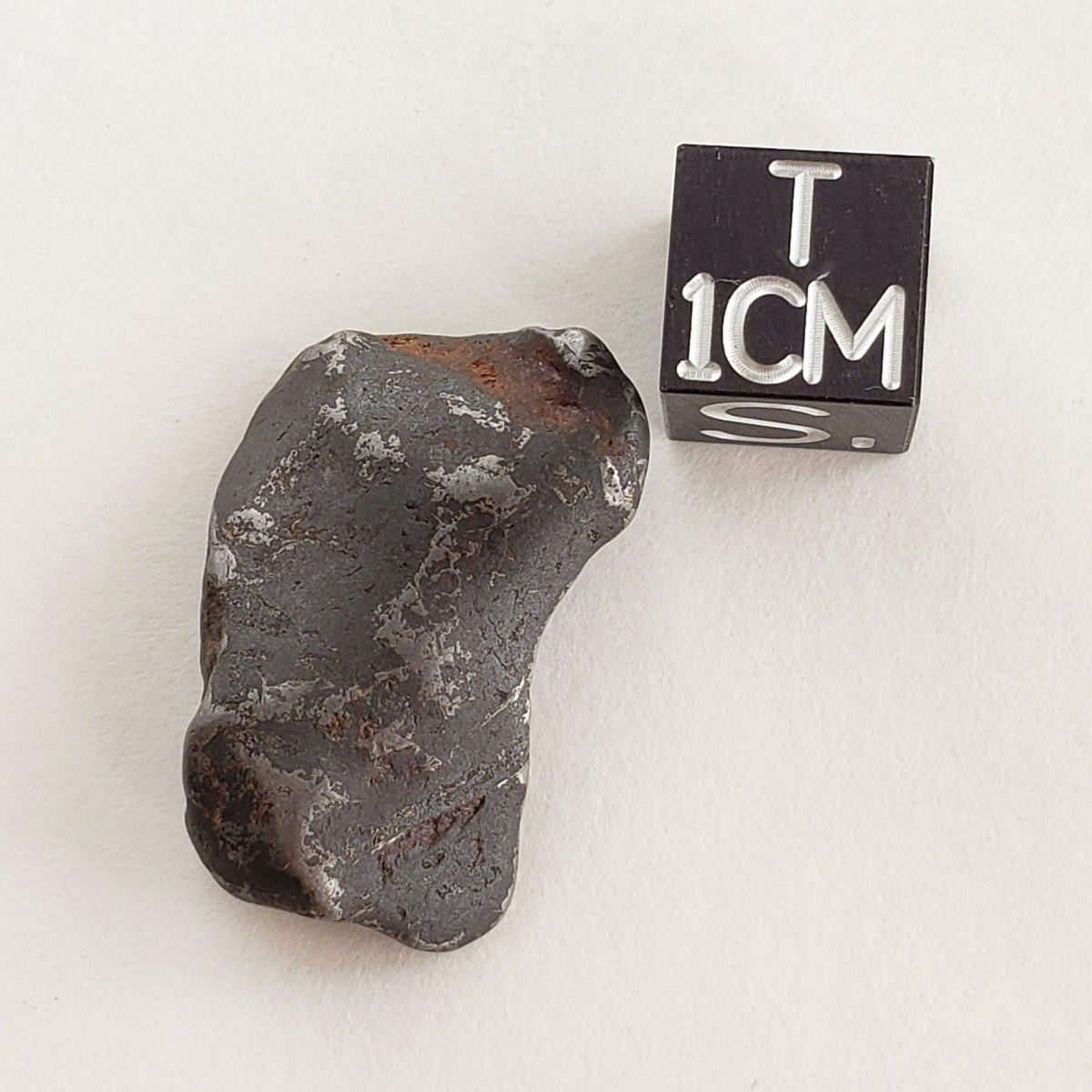  Canyon Diablo Meteorite 10.69 Grams Individual Iron IAB-MG Arizona U.S.A. 