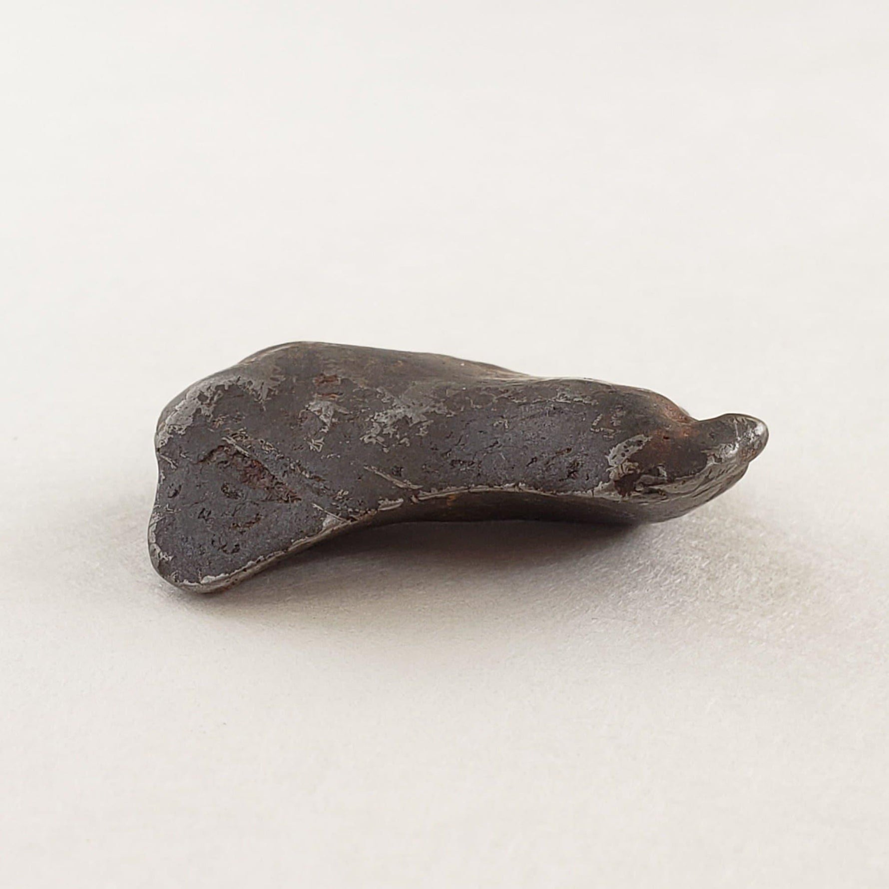 Canyon Diablo Meteorite | 10.69 Grams | Individual | Iron IAB-MG | Arizona U.S.A. | SO24