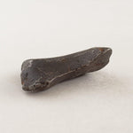 Canyon Diablo Meteorite | 10.69 Grams | Individual | Iron IAB-MG | Arizona U.S.A. | SO24