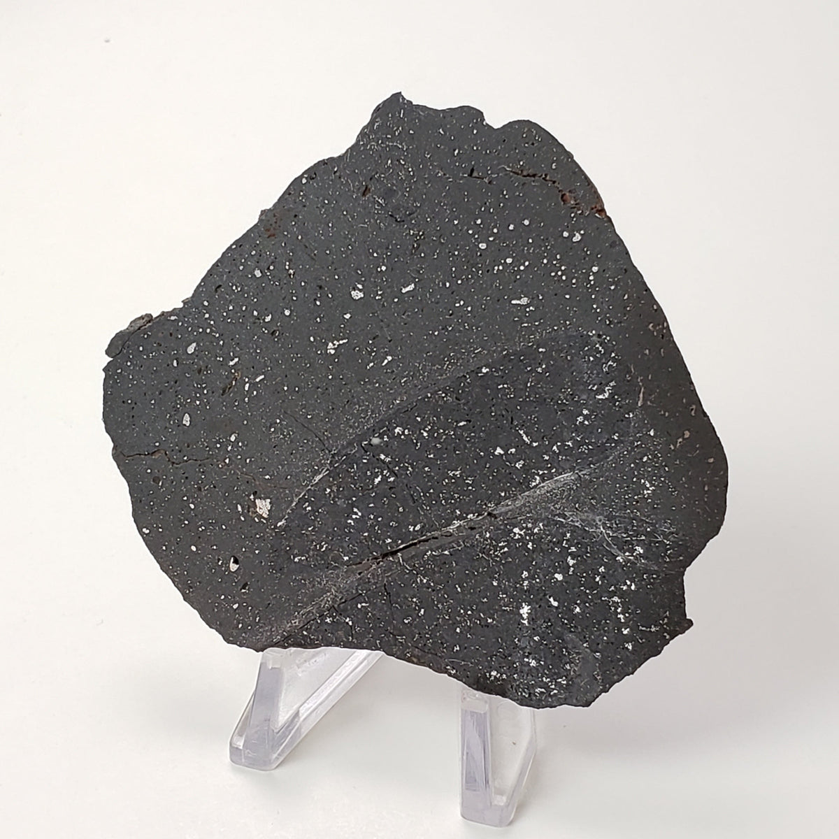 NWA 2902 Meteorite-in-a-Box | 51.05 Gr Slice | Rare L-Melt Rock | Low TKW